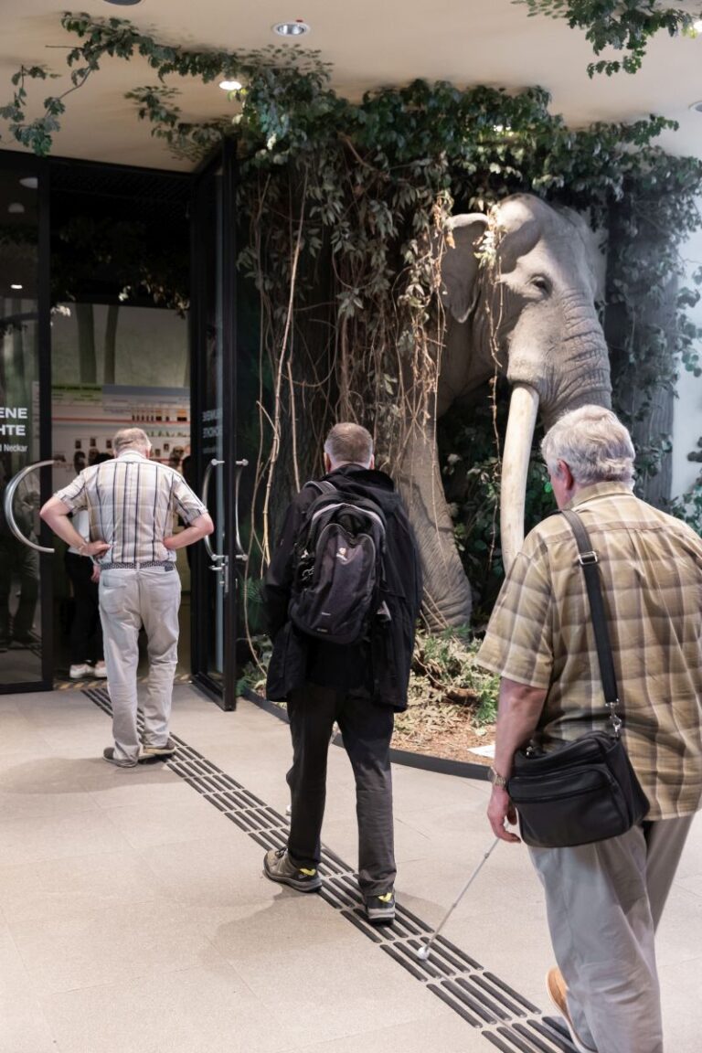 Neugestaltete Ausstellung im Reiß-Engelhorn Museum